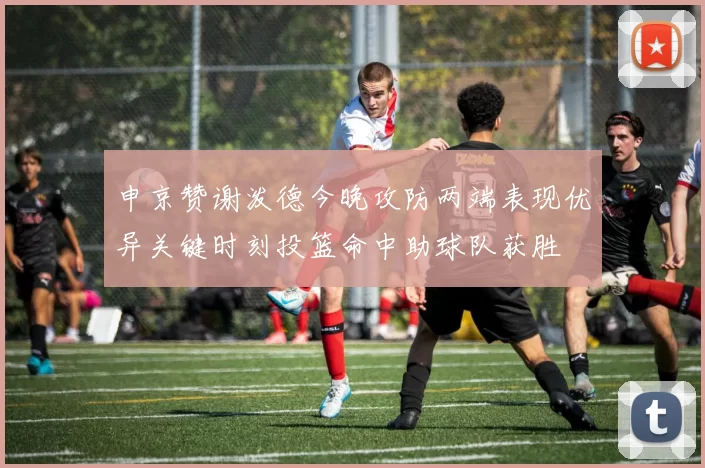 申京赞谢泼德今晚攻防两端表现优异关键时刻投篮命中助球队获胜